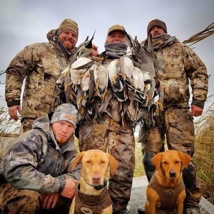 Meet your Posher, Brett